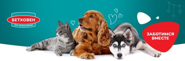 Бетховен зоомагазин логотип