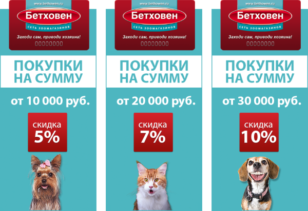 Сеть зоомагазинов Бетховен