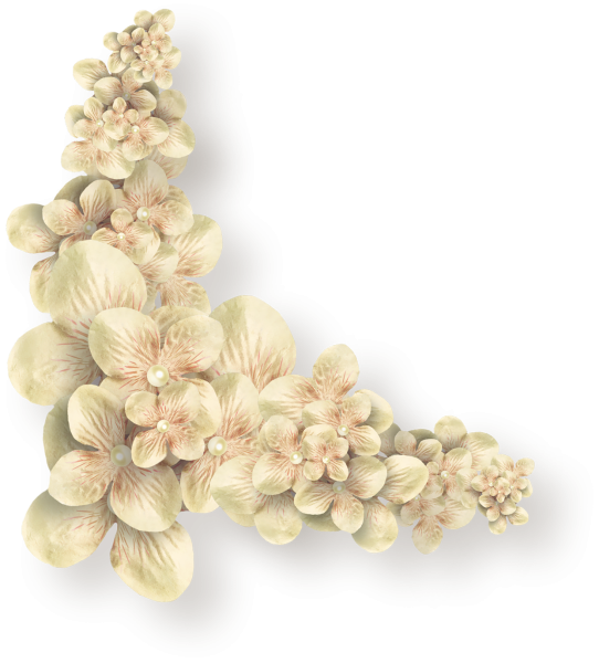 Рамка из бежевых цветов