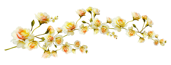 Цветочная гирлянда на белом фоне