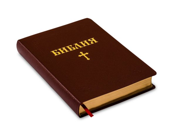 Библия в картинках