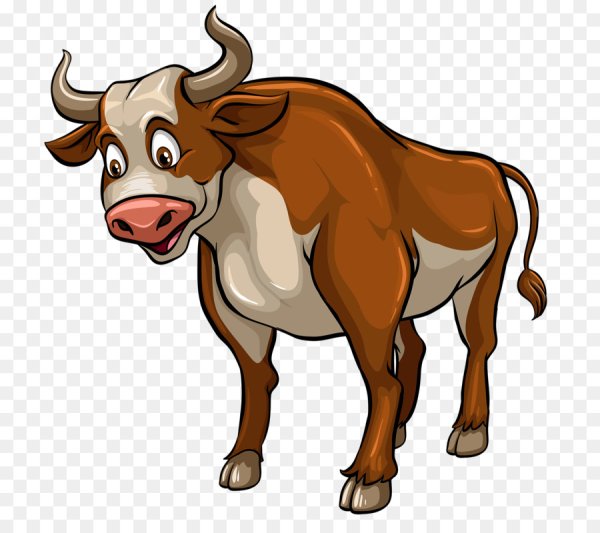 Бык на белом фоне для детей