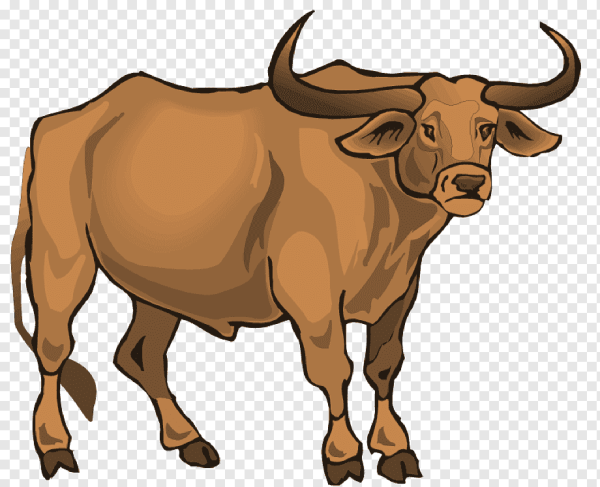 Бык иллюстрация