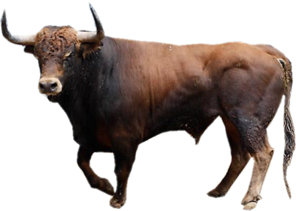 Бык без фона