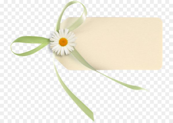 Бирка с ленточкой