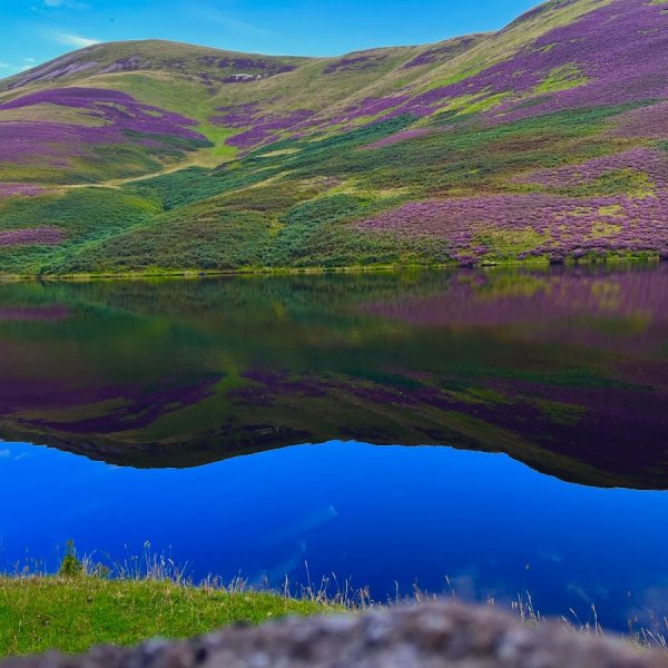 Minecraft блок сена