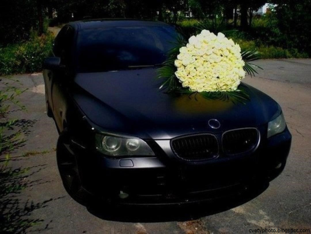 Цветы в БМВ е39