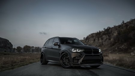 BMW x5 m f85 z-Performance
