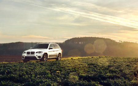 BMW x5 e70 на бездорожье