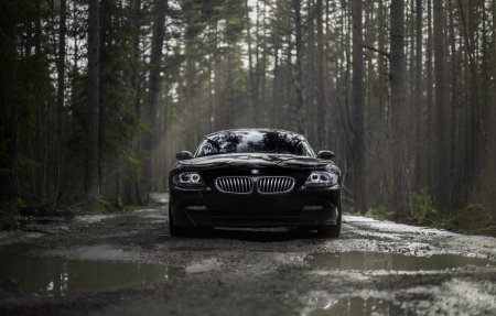 BMW m5 в лесу