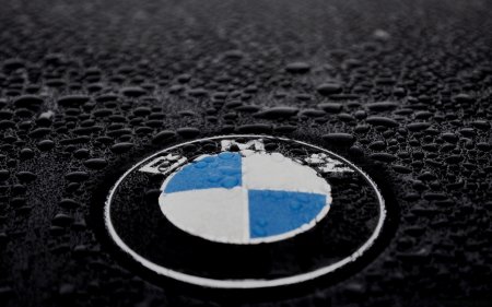 BMW logo 4k