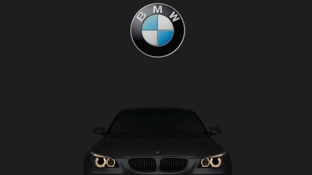 BMW logo m e60