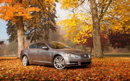 Машина осень