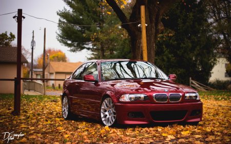 BMW e46 Red 4k