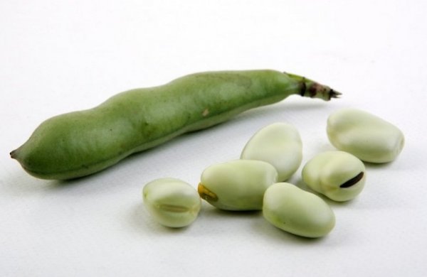 Бобы для детей