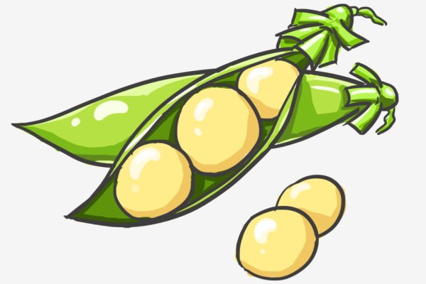 Бобы вектор