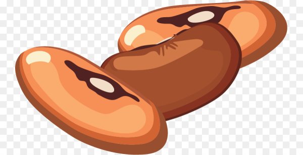 Фасолька рисунок