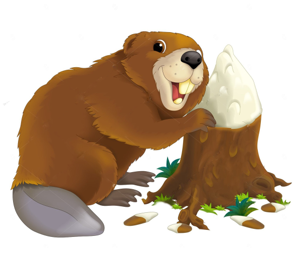 Бобр на белом фоне мультяшный