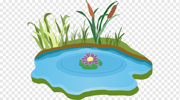 Болото для дошкольников