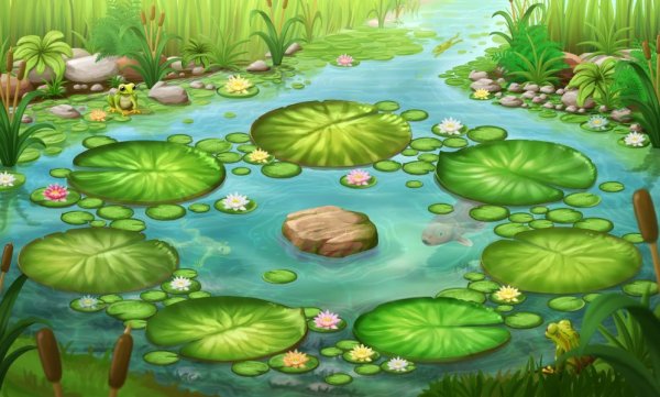 Болото для детей