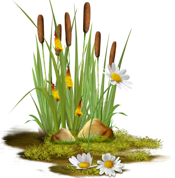 Камыши мультяшные