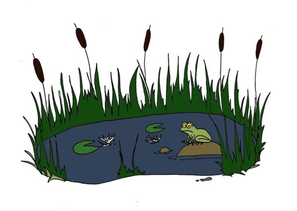 Рисунок болота