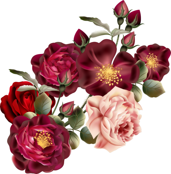 Цветы для фотошопа