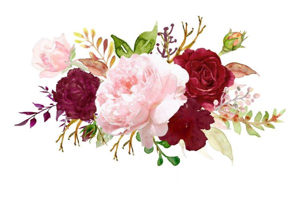 Акварельные пионы марсала