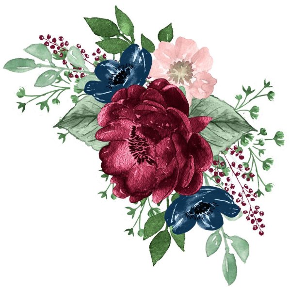 Марсала акварель