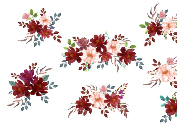 Бордовые цветы на белом фоне