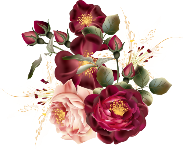 Бордовые цветы на белом фоне