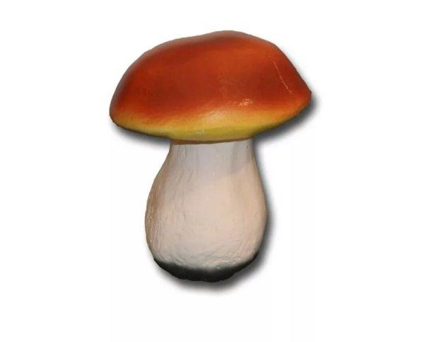 Гриб Боровик маленький