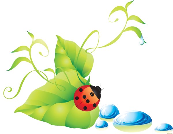 Мультяшная природа и насекомые