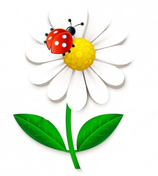 Ромашка мультяшная