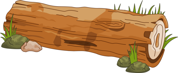 Бревно на прозрачном фоне