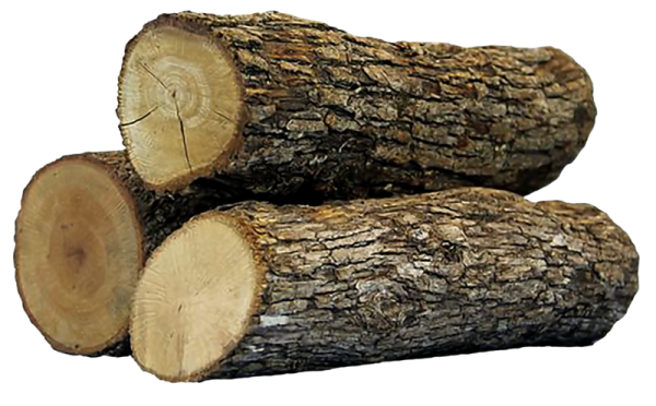 Бревно для детей