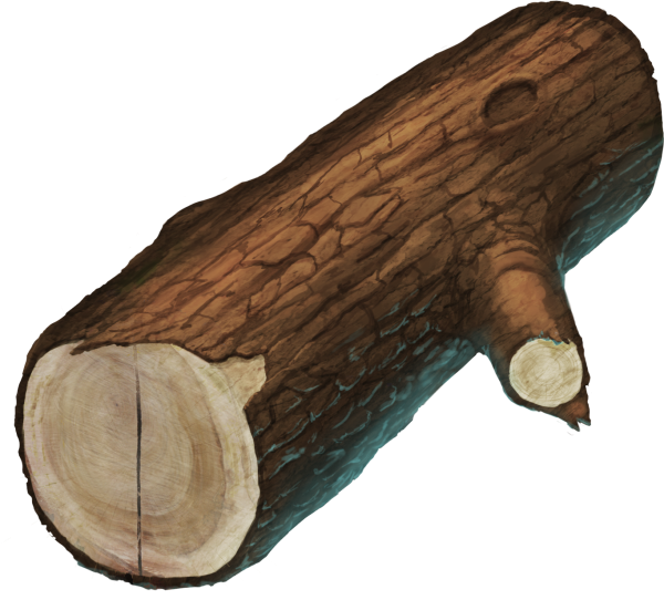 Бревно на прозрачном фоне