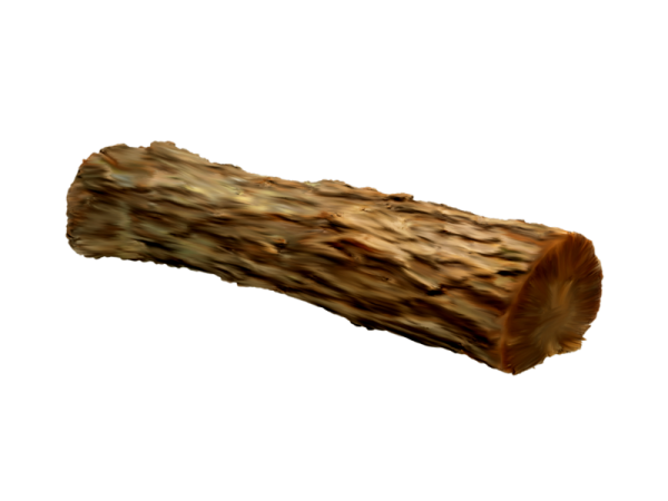 Бревно без фона