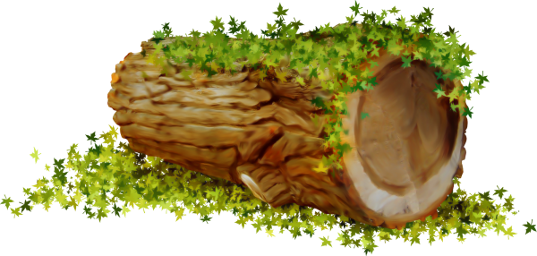 Пенек на прозрачном фоне