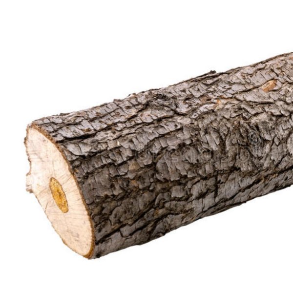 Дерево полено