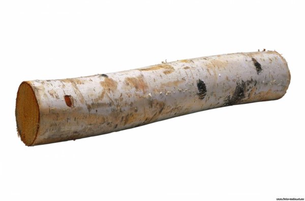 Березовое бревно