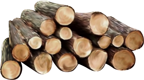 Древесина на белом фоне