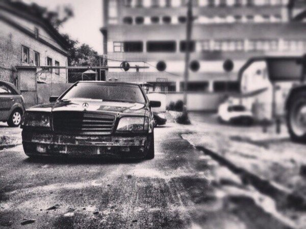 Мерин Бандитский Каспийский