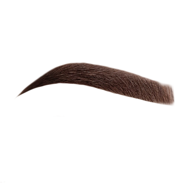 Женские брови для фотошопа