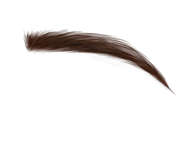 Брови для фотошопа