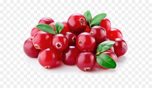 Клюква на белом фоне