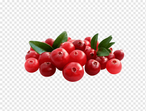 Брусника без фона