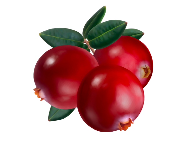 Клюква для детей