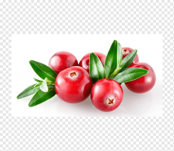 Брусника картинки