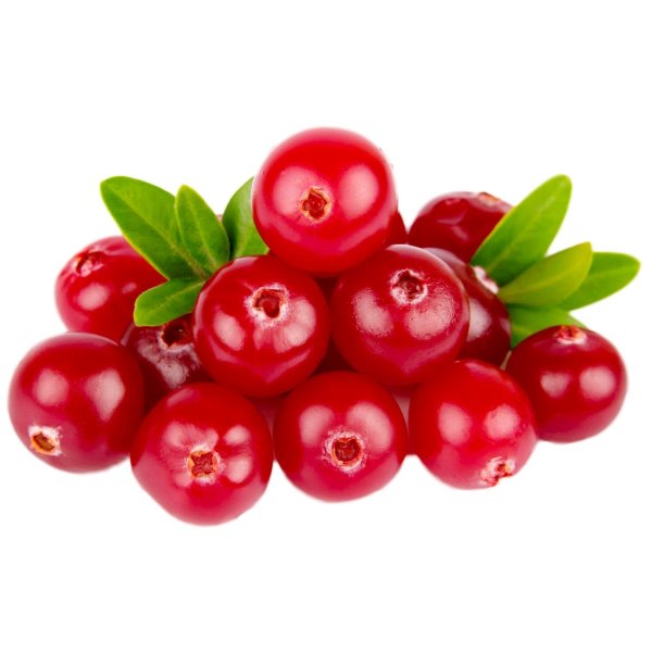 Cowberry брусника